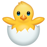 Emoji Anak Ayam Menetas WhatsApp