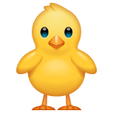 Emoji Anak Ayam Menghadap Depan WhatsApp