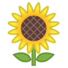 Emoji Bunga Matahari Google