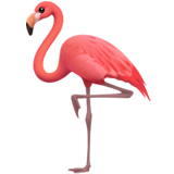 Emoji Flamingo Apple