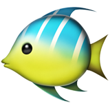 Emoji Ikan Tropis Apple