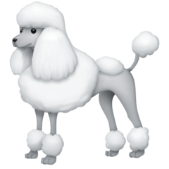   Arti Emoji   Pudel Poodle Emojipedia